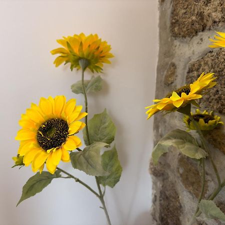 Casa Das Flores 올리베이라두오스피탈 외부 사진
