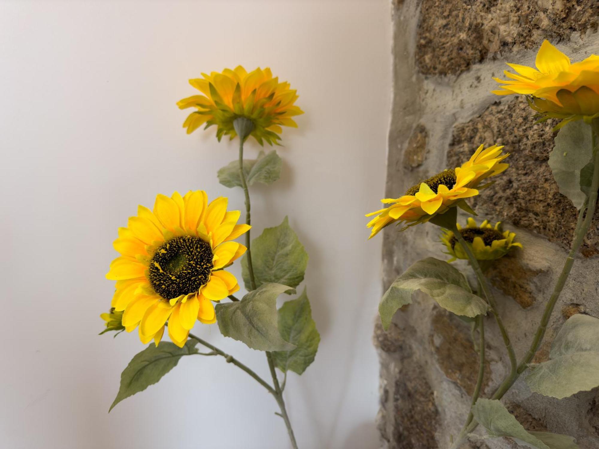 Casa Das Flores 올리베이라두오스피탈 외부 사진